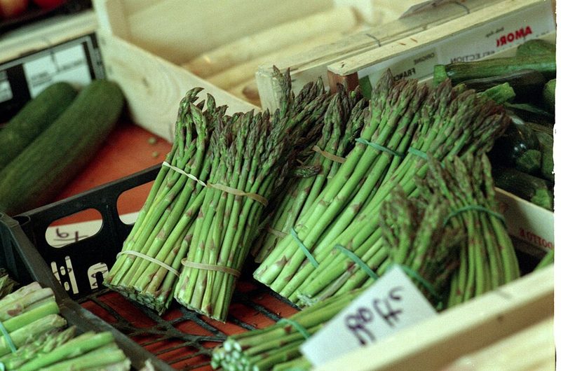 Asperge de Lauris