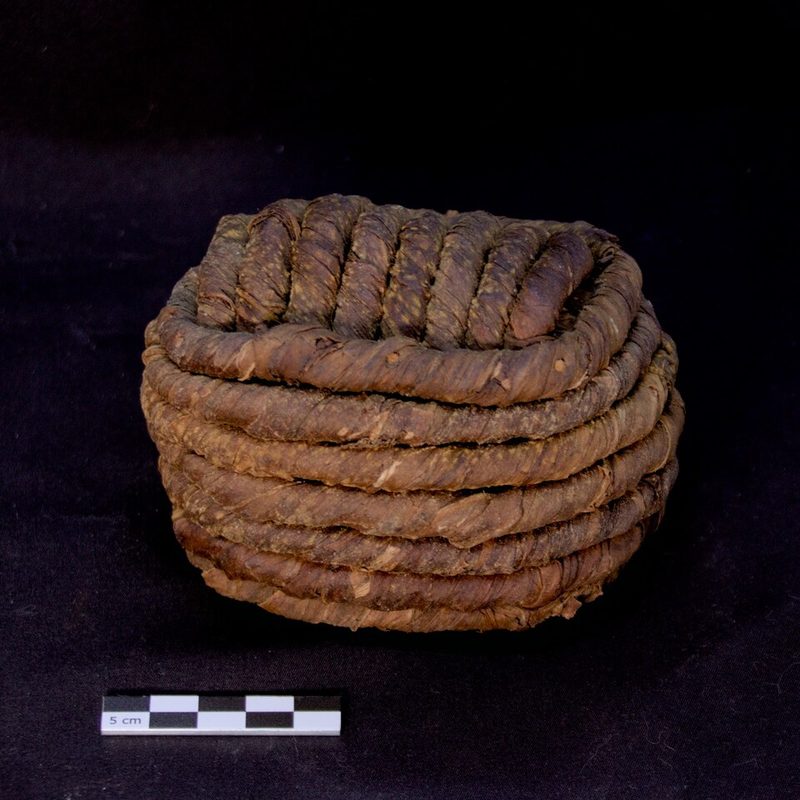 Chique de Bavay