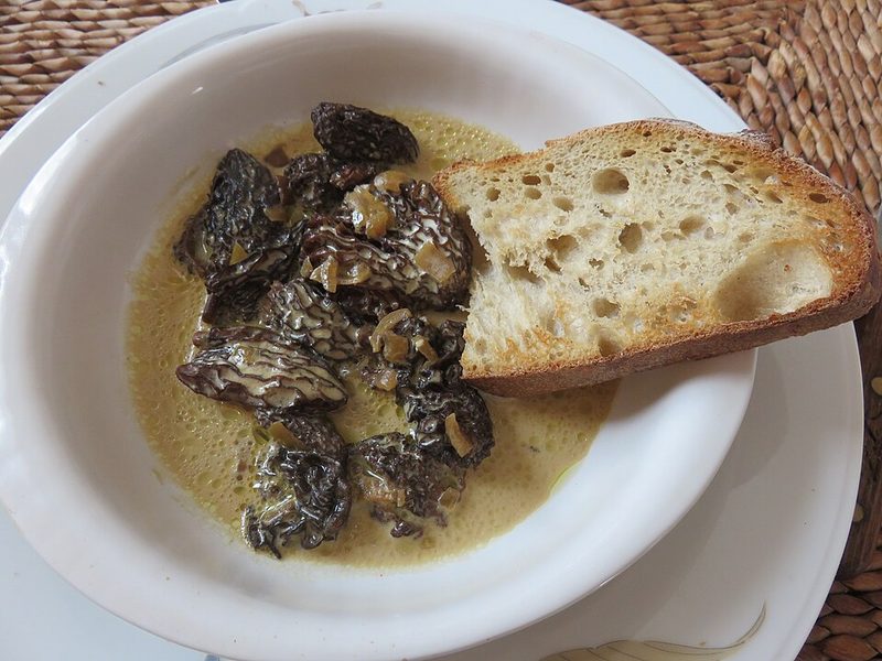 Croûte aux morilles