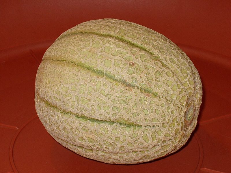 Melon de Cavaillon