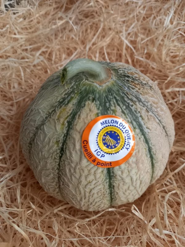 Melon du Quercy