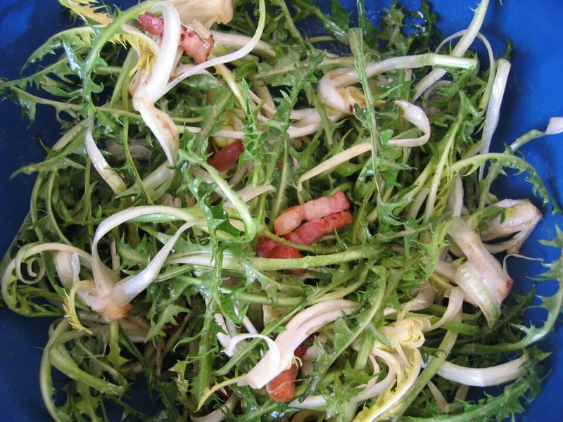 Salade de pissenlits à la chaude meurotte