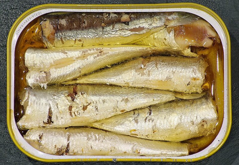 Sardine de Saint-Gilles