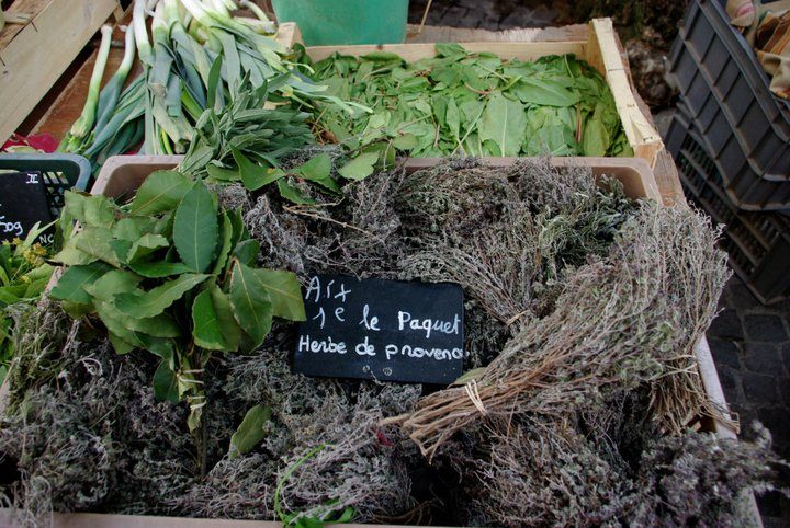 Thym de Provence