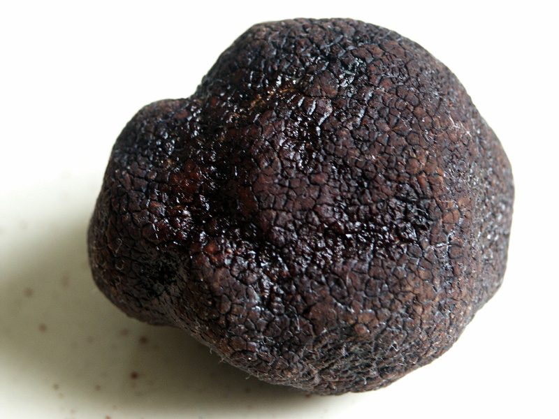 Truffe noire du Vaucluse